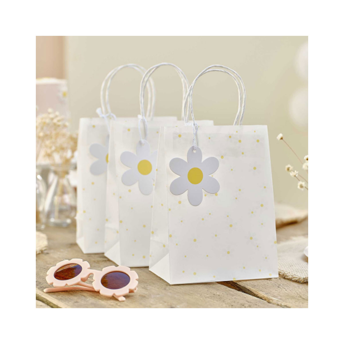 2_Davanu-maisins-Daisy,-mazs