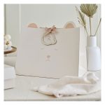 2_Davanu-maisins-Teddy-Bear,-liels