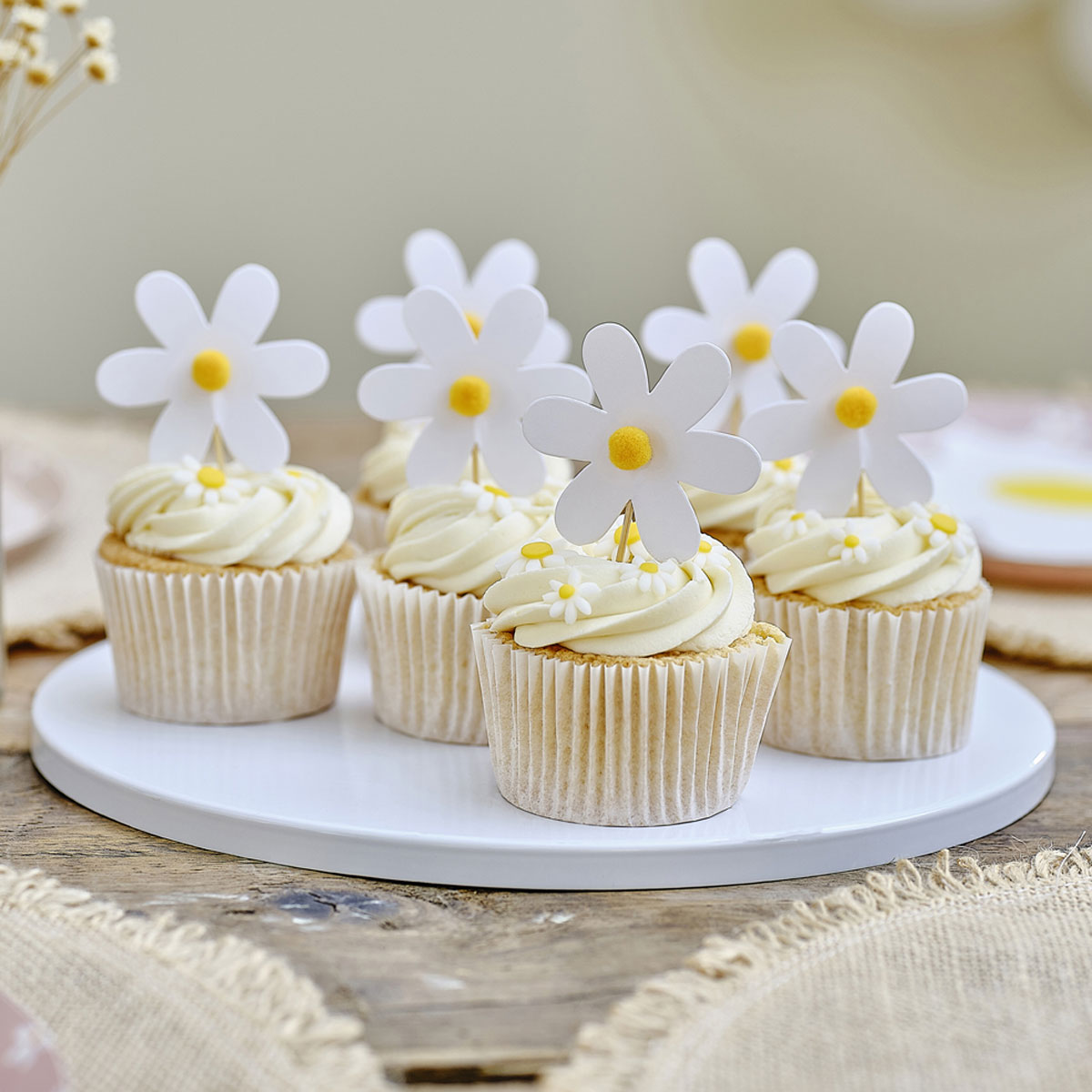 2_Kucinu-dekori-Daisy,-12-gab