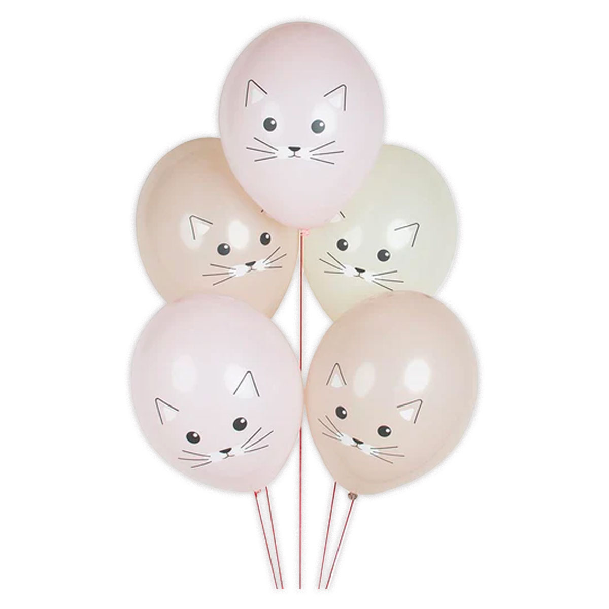 Balonu-komplekts-Cats,-5-gab.,-My-Little-Day