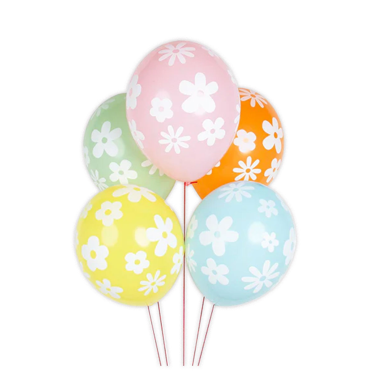 Balonu-komplekts-Spring,-5-gab.,-My-Little-Day