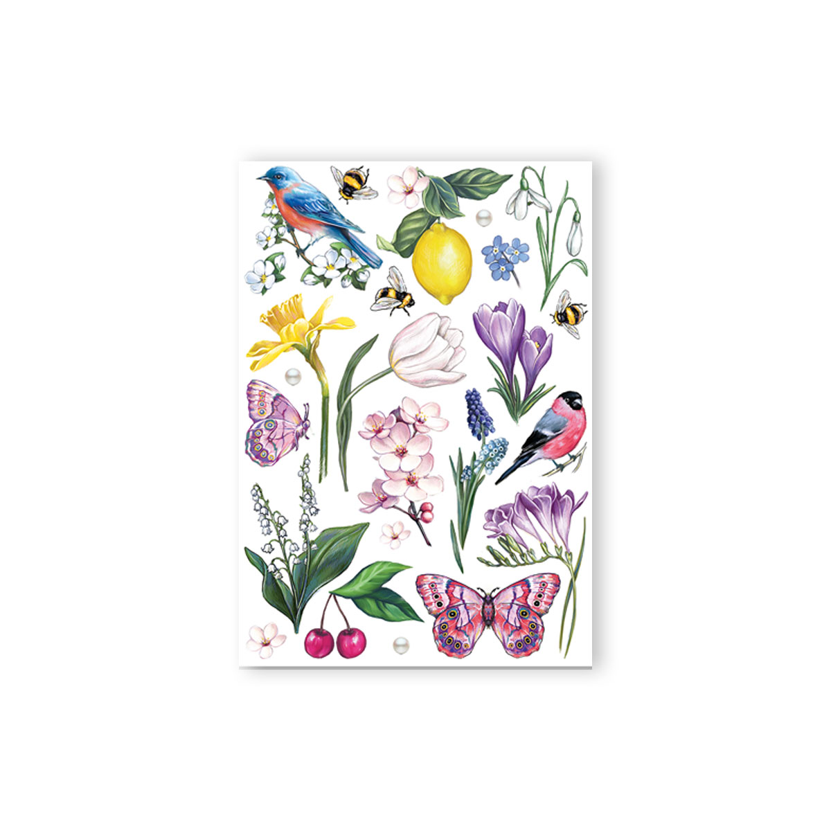 Islaicigie-Tetovejumi-Spring,-krasaini,-Wink-Tattoo