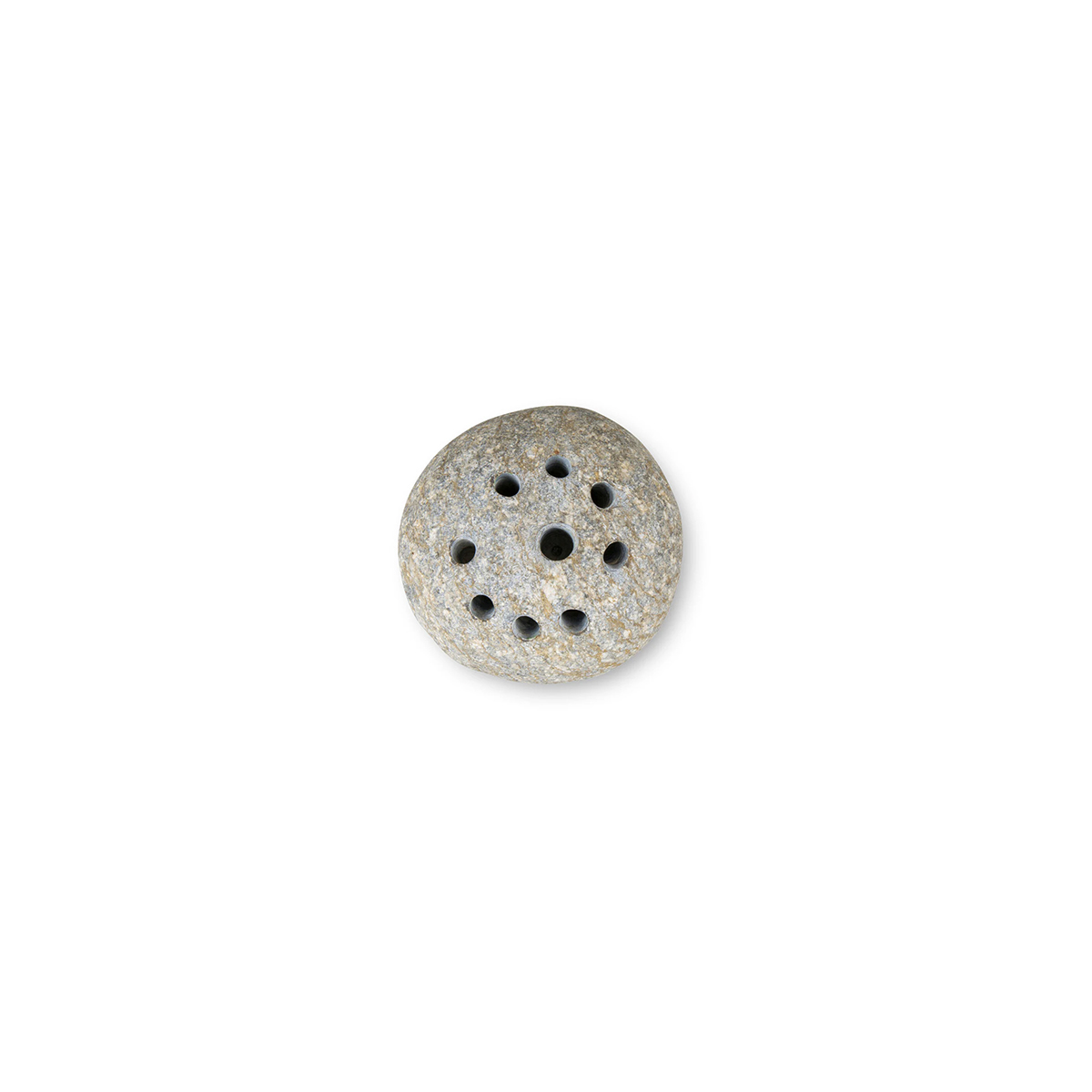akmens-ziedu-kartosanai-frog-stone