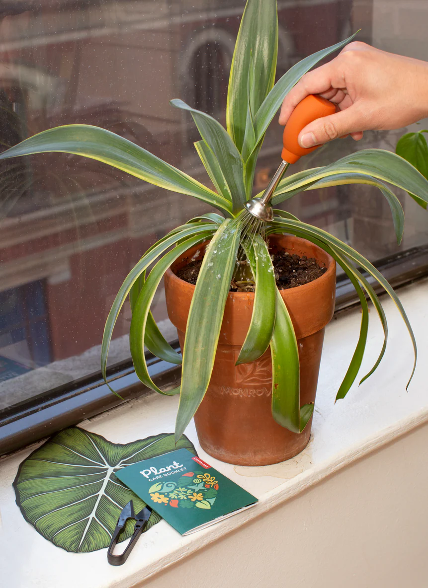 augu-kopsanas-komplekts-plant-care2.jpg