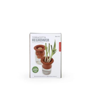 Trauki augu audzēšanai Terracotta Regrower, 2 gab.
