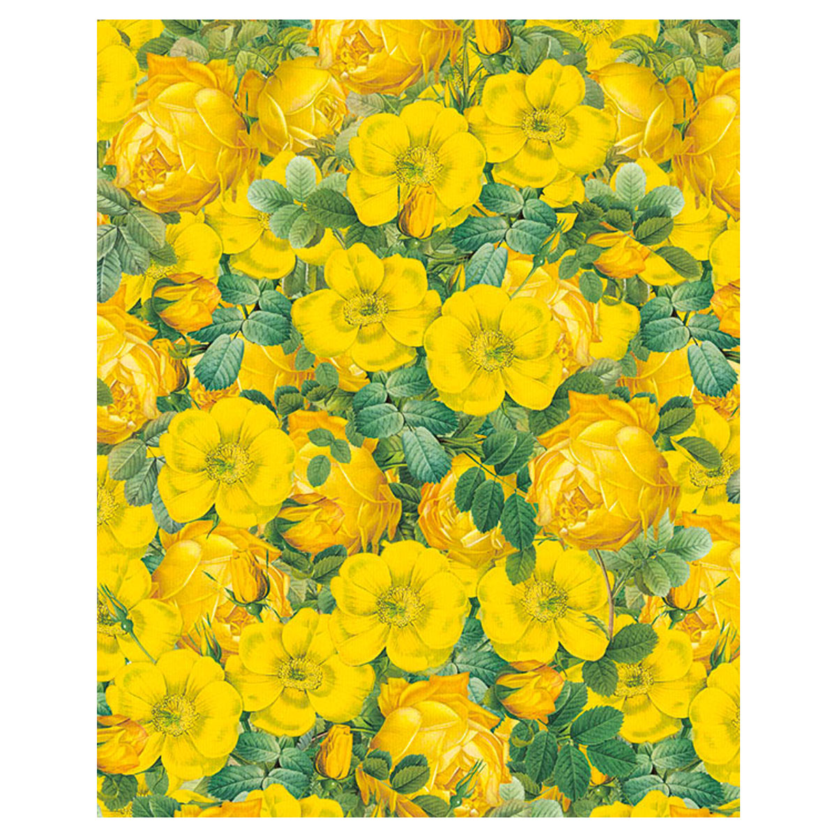 Davanu-iesainojamais-papirs-Yellow-Roses,-loksne