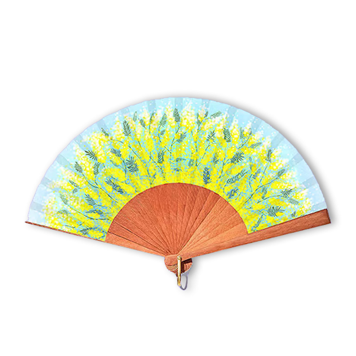Vedeklis-Mimosa,-A-Fan-of