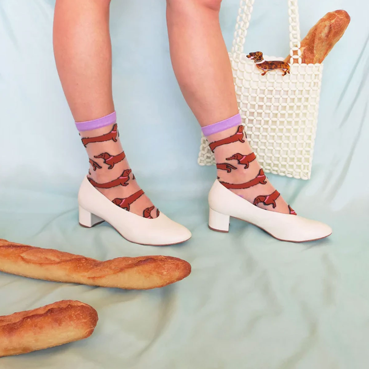 2_Caurspidigas-zekes-Dachshund