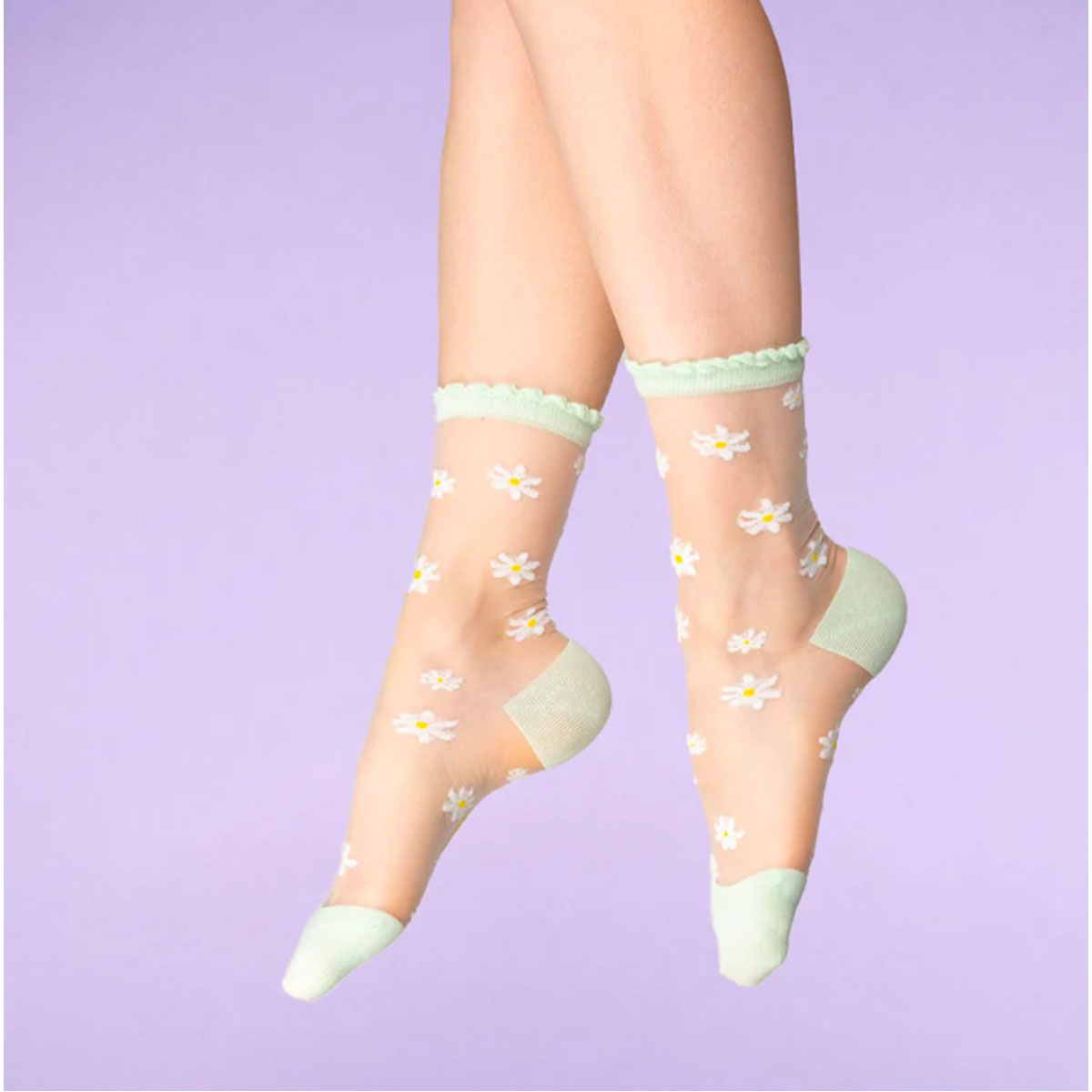 2_Caurspidigas-zekes_Daisy