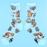3_Caurspidigas-zekes-Meow