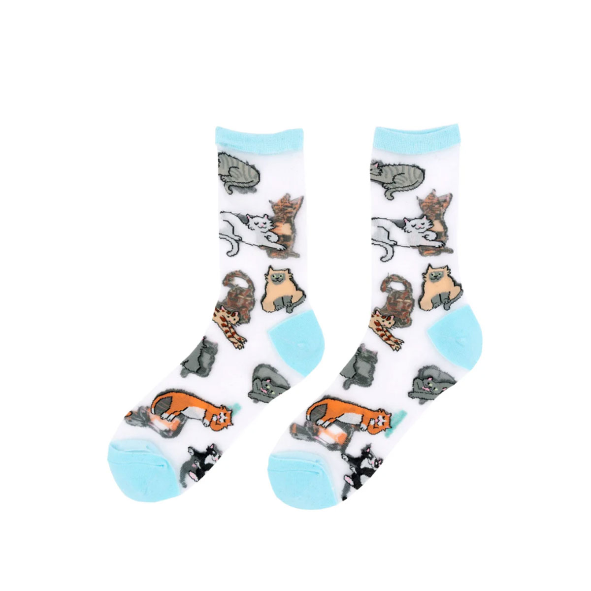 Caurspidigas-zekes-Meow