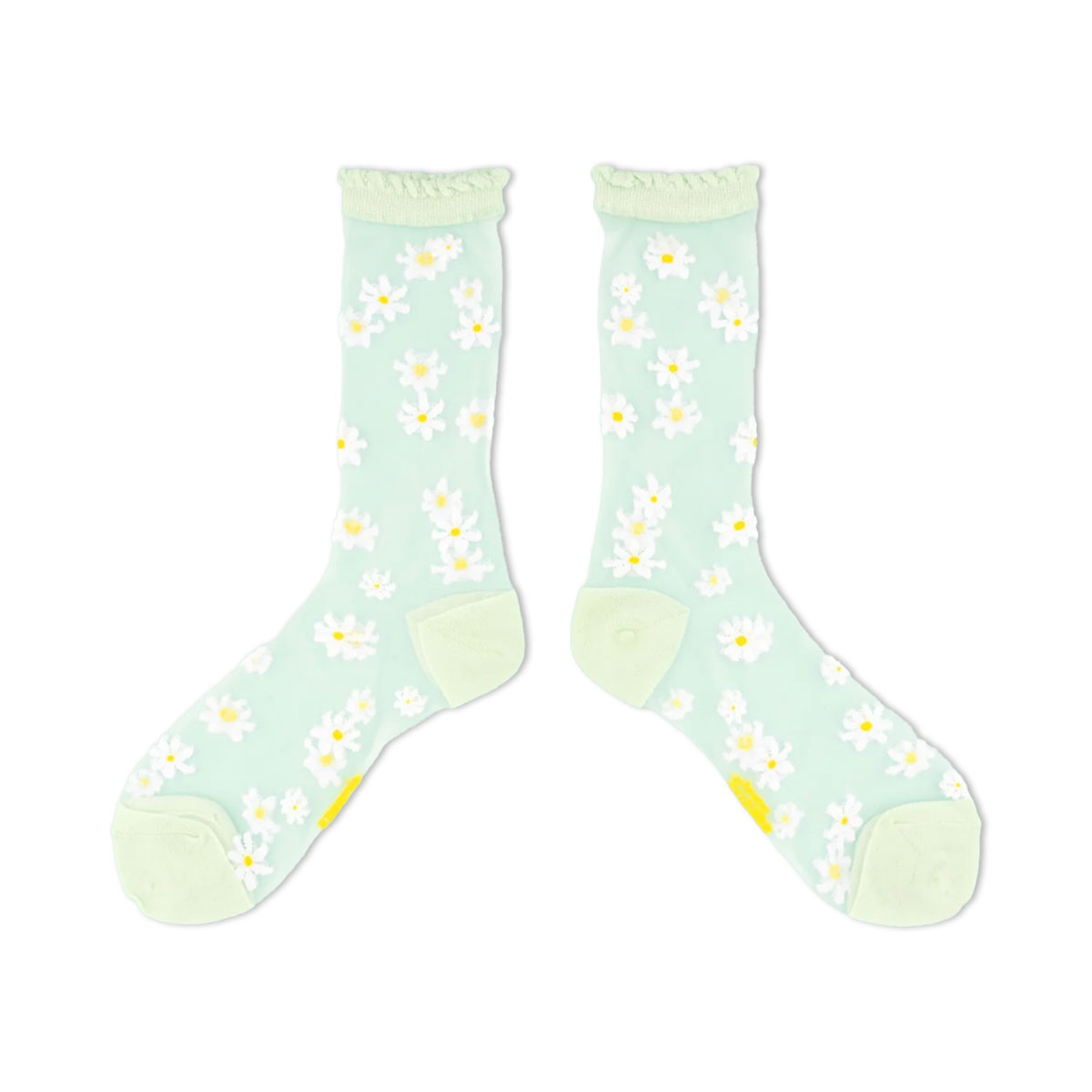 Caurspidigas-zekes_Daisy