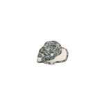 Kabatas-spolulis-Oyster,-atverams CouCou Suzette atverams kabatas spogulis austere oyster