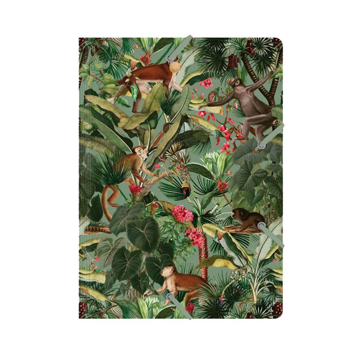 Mape-de-Luxe-Affe,-A4+