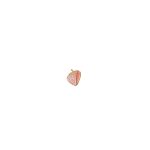 Piespraude-Strawberry,-All-the-ways-to-say