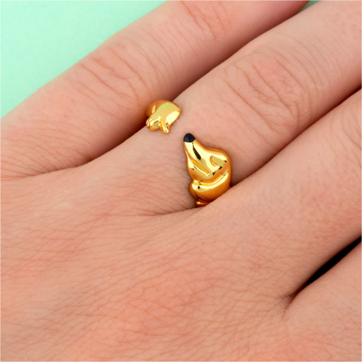 2_Gredzens-Dachshund