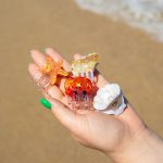 3_Matu-klipsis-Crab