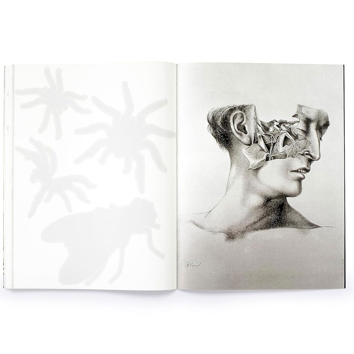 6_Gramata-Cut-Up-This-Book-and-Create-Your-Own-Underworld