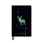 Harry_potter-moleksine (2) Piezīmju grāmata no Moleskine Harry Potter Spells Collection limitētas sērijas kolekcijas. 176 lapaspuses, 100 g papīrs. Līniju lapas. Vāka ilustrācija tumsā spīd.