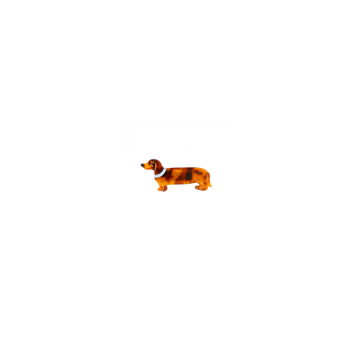 Matu-spradze-Dachshund-Mini