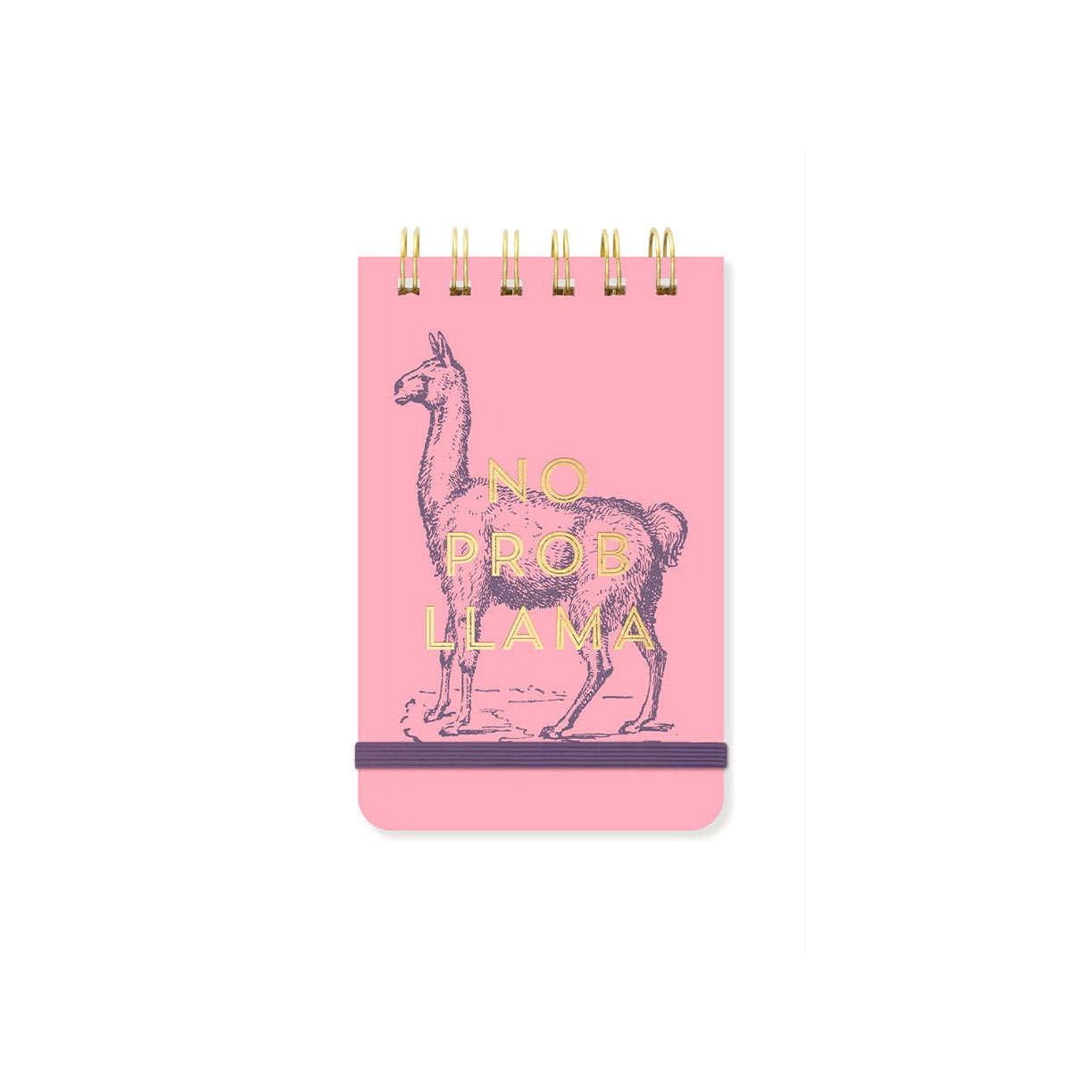 Piezimju-bloks-No-Prob-Llama-A6,-līniju