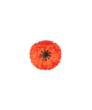Hair clip Poppy, Coucou Suzette