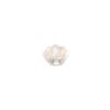 Matu-klipsis-Scallop-Shell
