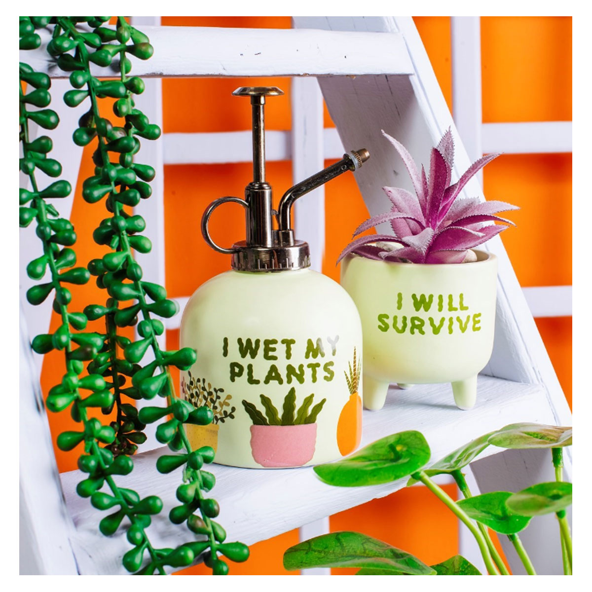 2_Augu-apsmidzinatajs--Wet-My-Plants-Mister