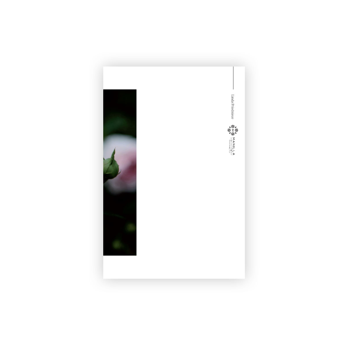 2_Pastkarte-Pink-Queen,-Nature's-Whisper,-Manilla-x-L