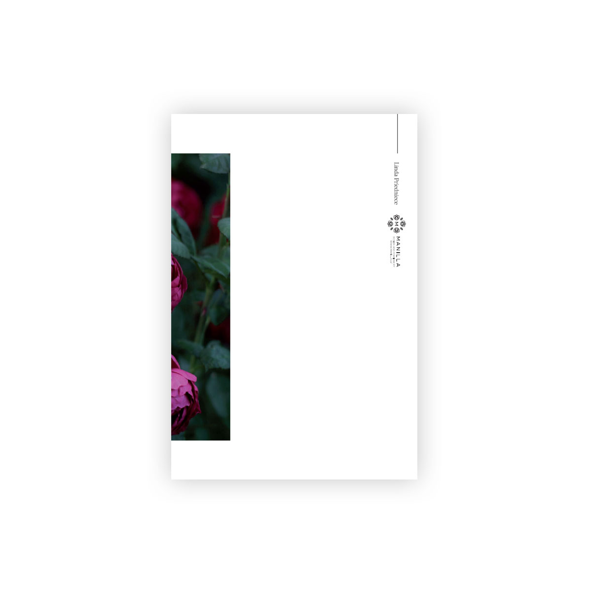 2_Pastkarte-Velvet-blossom,-Nature's-Whisper,-Manilla-x-L