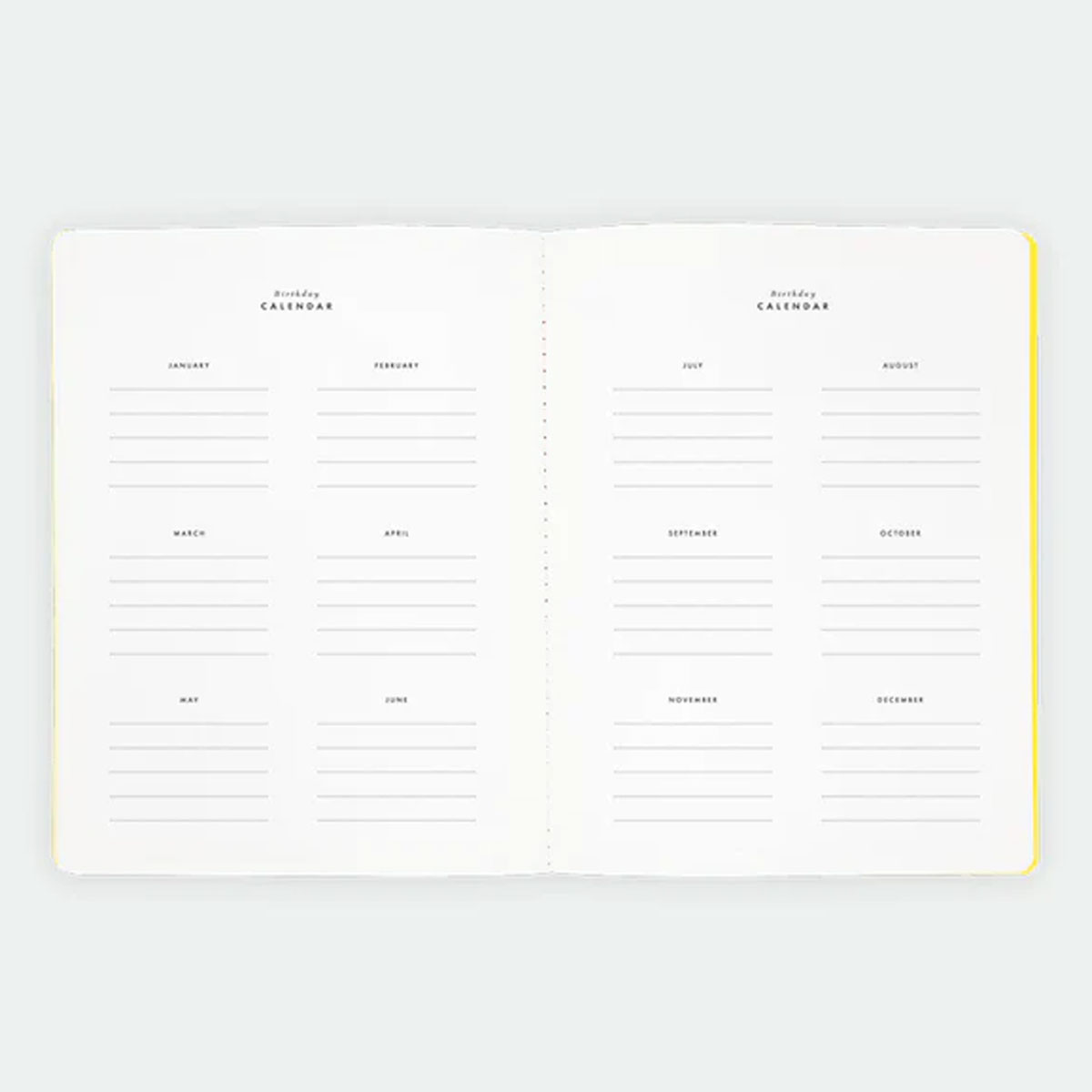 6_Piezimju-gramata-Mexico-Fluo,-Monthtly-Planner,-All-the-ways-to-say