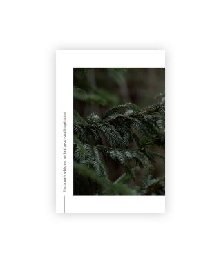 Postcard Fir tree, Nature's Whisper, Manilla x L.Priedniece