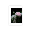 Pastkarte-Pink-Queen,-Nature's-Whisper,-Manilla-x-L.Priedniece
