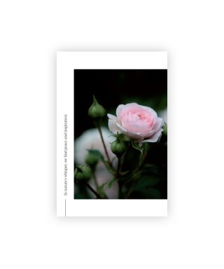 Pastkarte Pink Queen, Nature's Whisper, Manilla x L.Priedniece