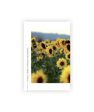 Postcard Sunflowers, Nature's Whisper, Manilla x L.Priedniece