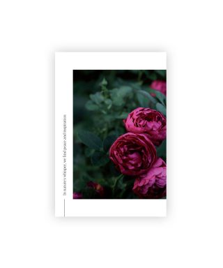 Pastkarte Velvet blossom, Nature's Whisper, Manilla x L.Priedniece