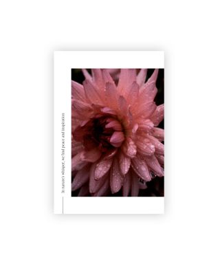 Pastkarte Dahlia, Nature's Whisper, Manilla x L.Priedniece