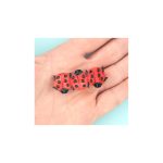 3_Matu-klipsis-Ladybug,-Coucou-Suzette