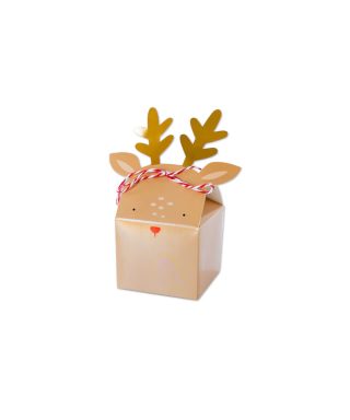 Kastītes Rudolph, 12 gab., My Mind's Eye