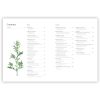 2_Gramata-A-Forager's-Guide-to-Wild-Drinks