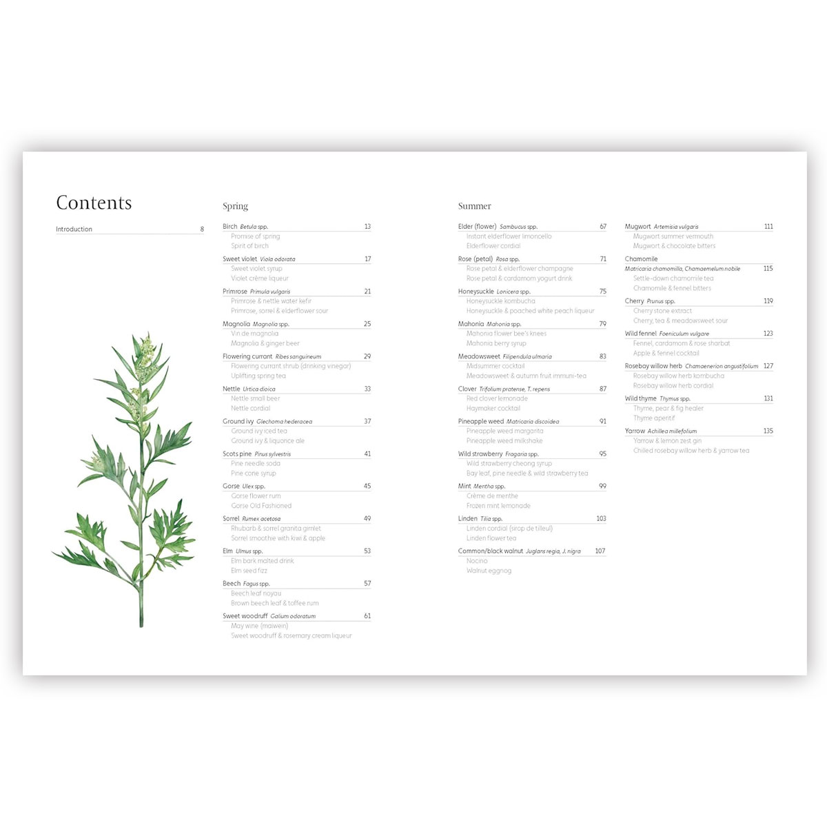 2_Gramata-A-Forager's-Guide-to-Wild-Drinks