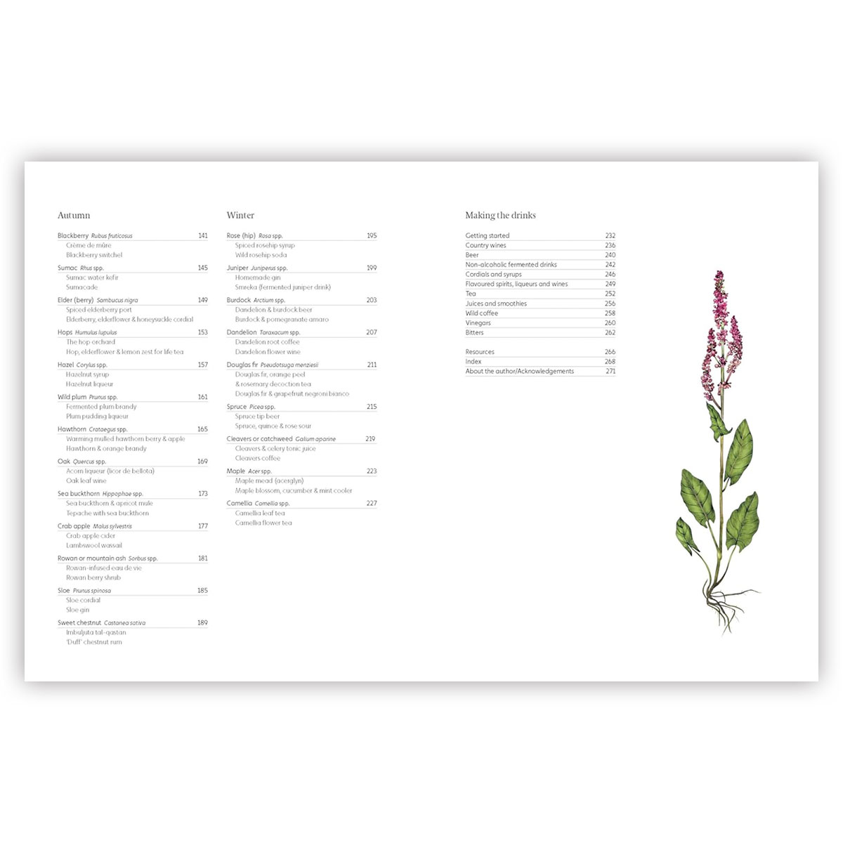 3_Gramata-A-Forager's-Guide-to-Wild-Drinks