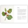 6_Gramata-A-Forager's-Guide-to-Wild-Drinks