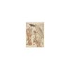 6_Kartisu-komplekts-Katsushika-Hokusai,-50-Masterpieces-Explored,-50-gab