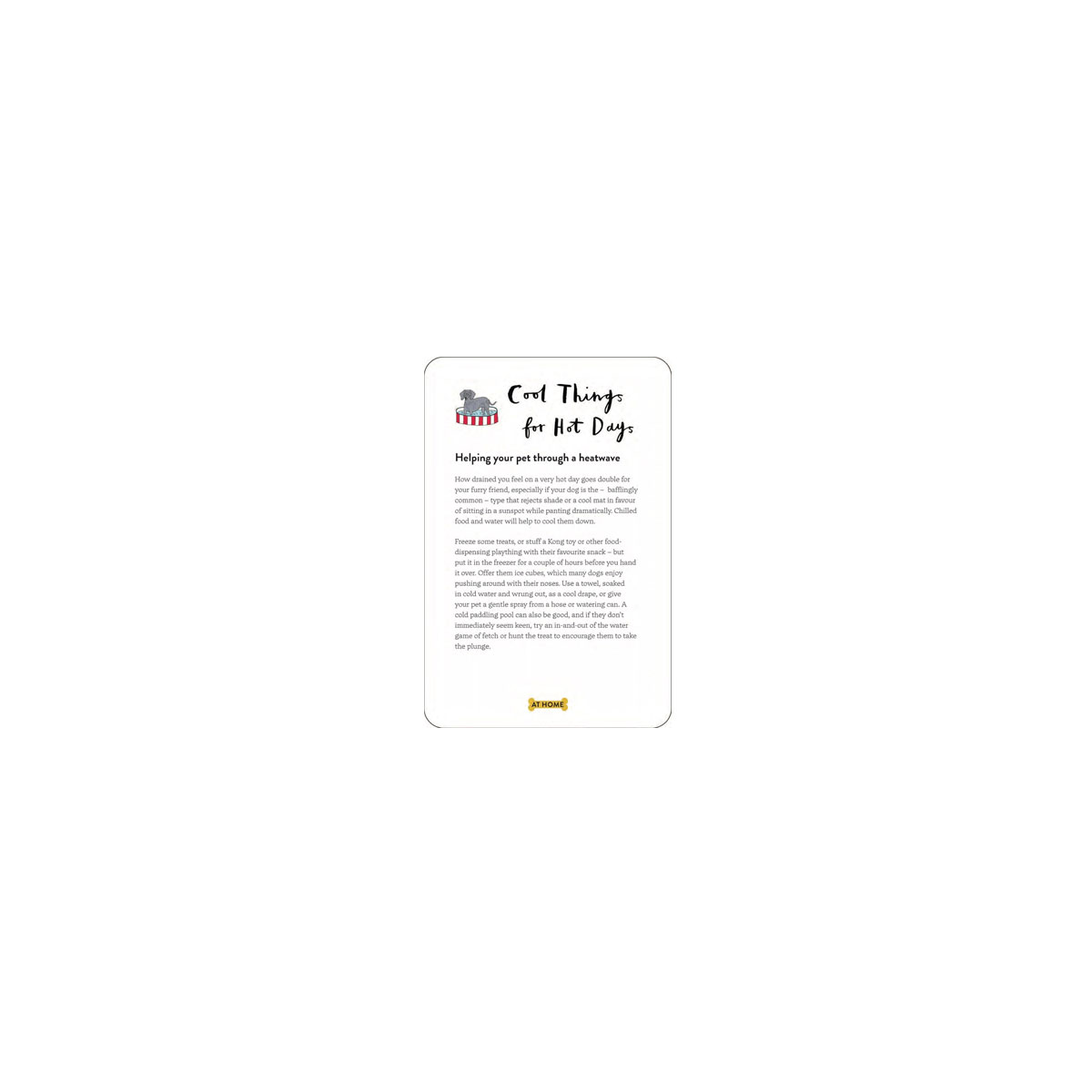 8_Kartis-School-for-Dogs-and-Their-Humans