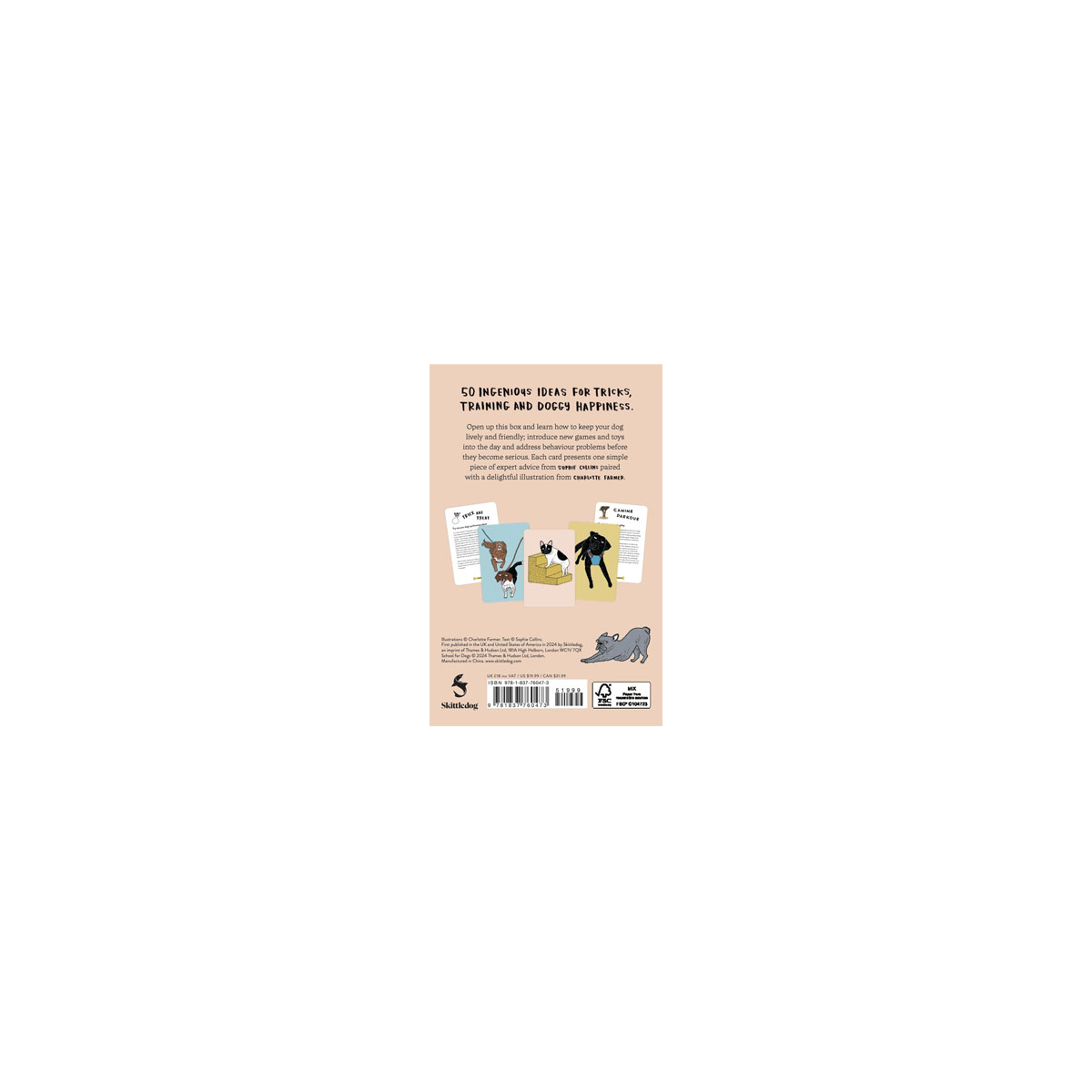 9_Kartis-School-for-Dogs-and-Their-Humans