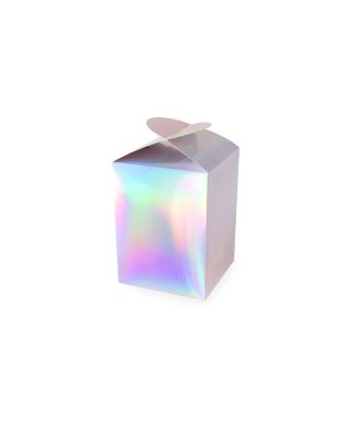 Dāvanu kaste Holographic, large, saliekama
