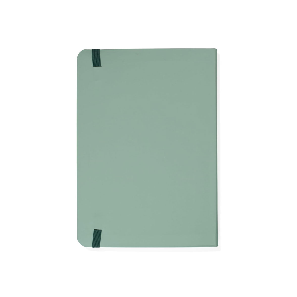 2_Piezimju-gramata-Sage-Writing-Journal,-The-School-of-Life