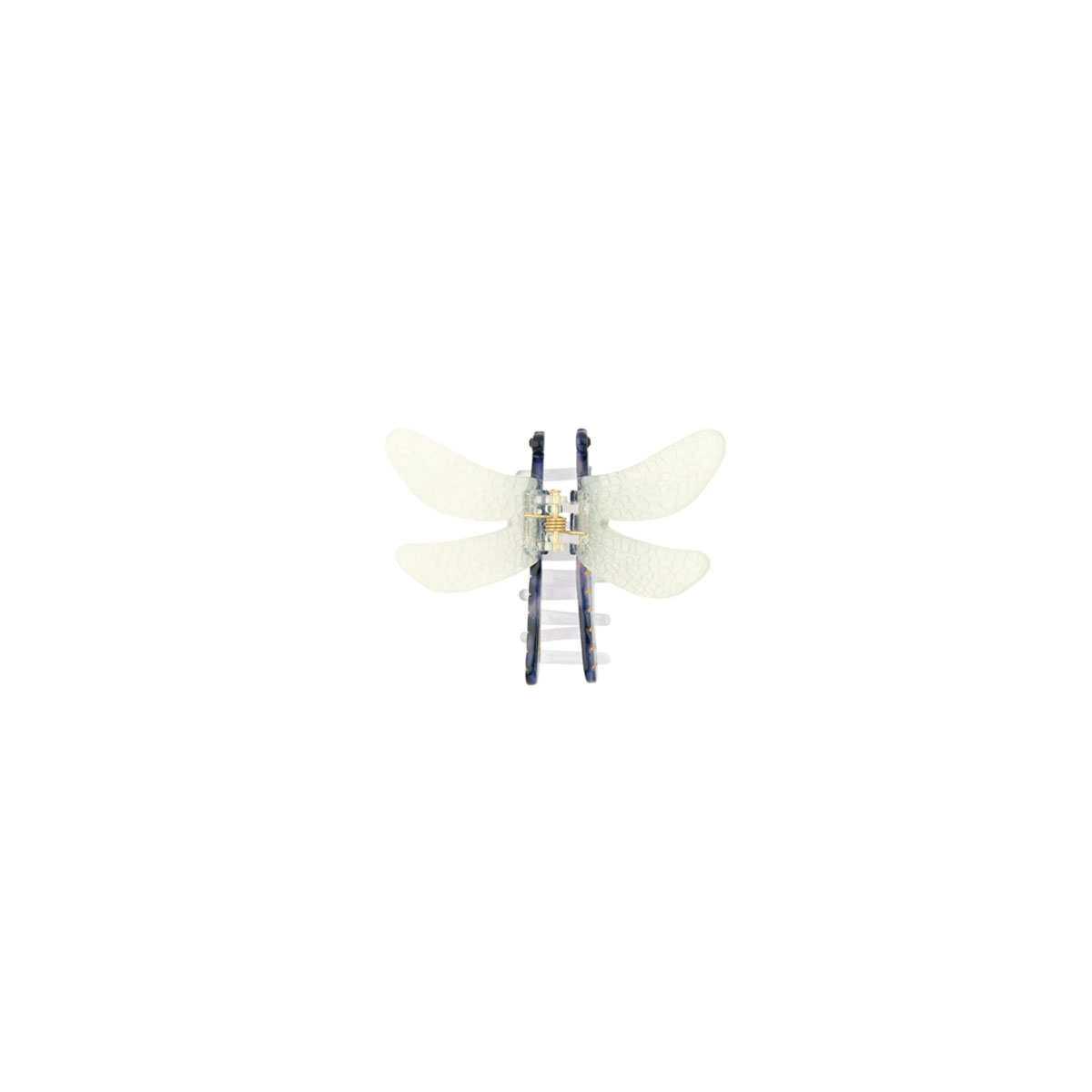 Matu-klipsis-Dragonfly,-Coucou-Suzette