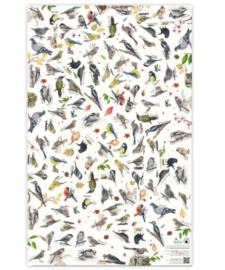 Dāvanu iesaiņojamais papīrs Putni, loksne, 55.8 cm x 88.6 cm